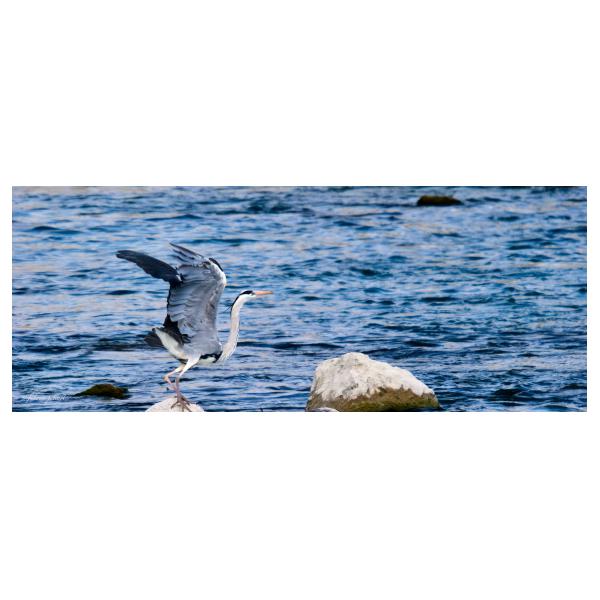 PHOTO84, CLUB, 84 , LUBERON